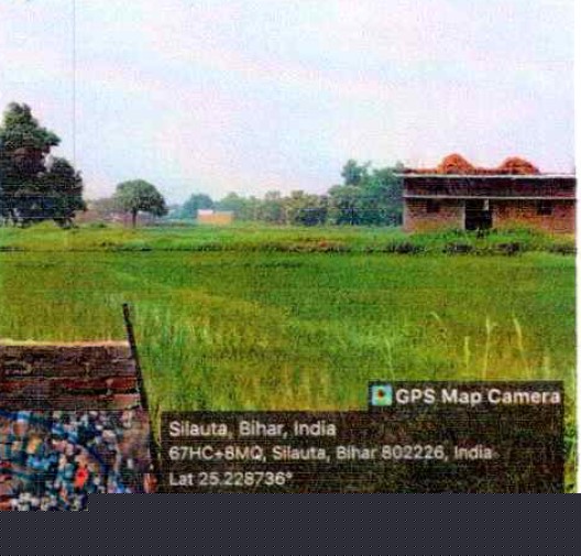 Plot for Sale in Village-Silauta, Bikramganj, Dist Rohtas , Bihar-802226, Bikramganj