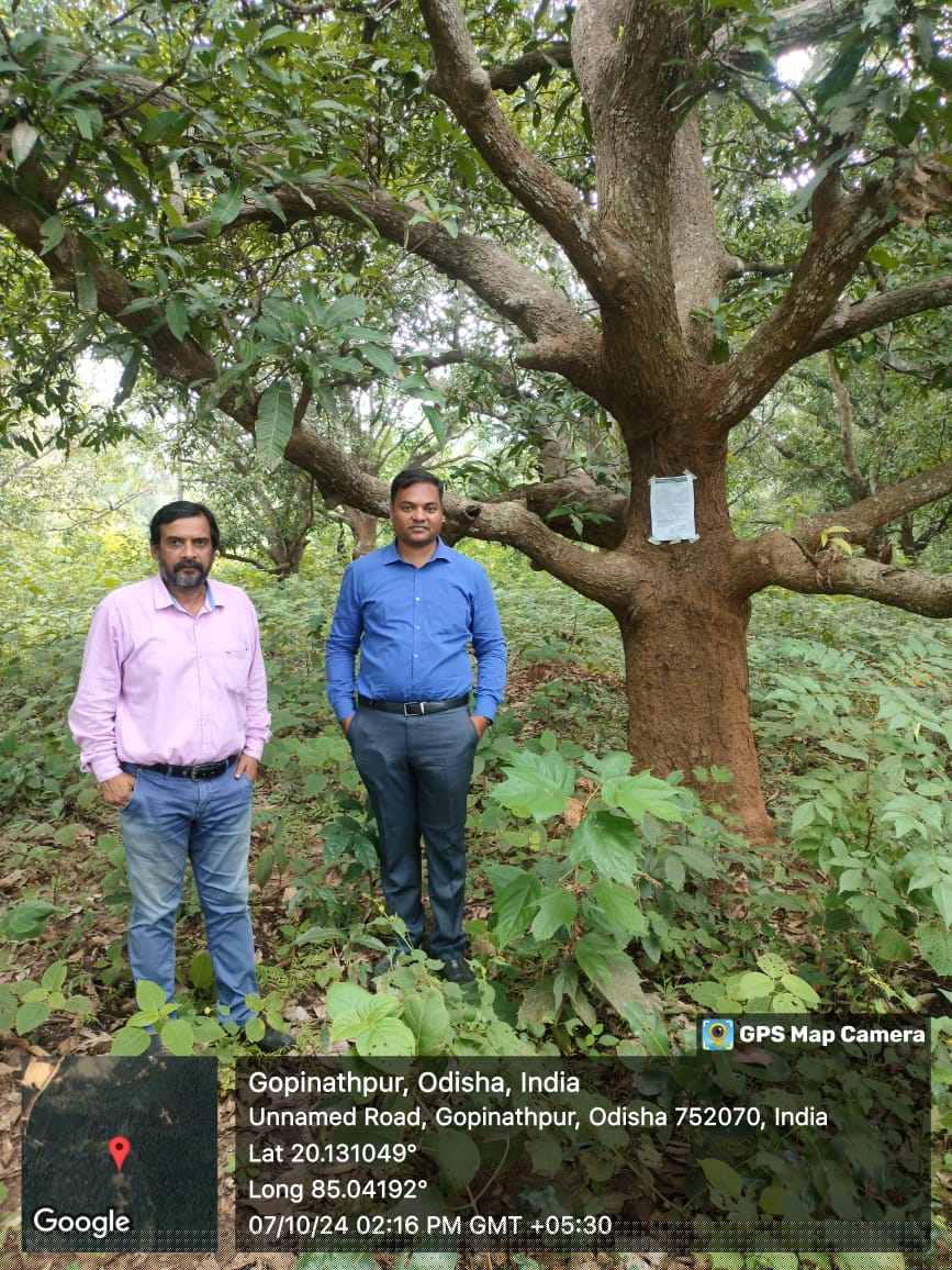 Plot for Sale in NAYAGARH, Khandapada