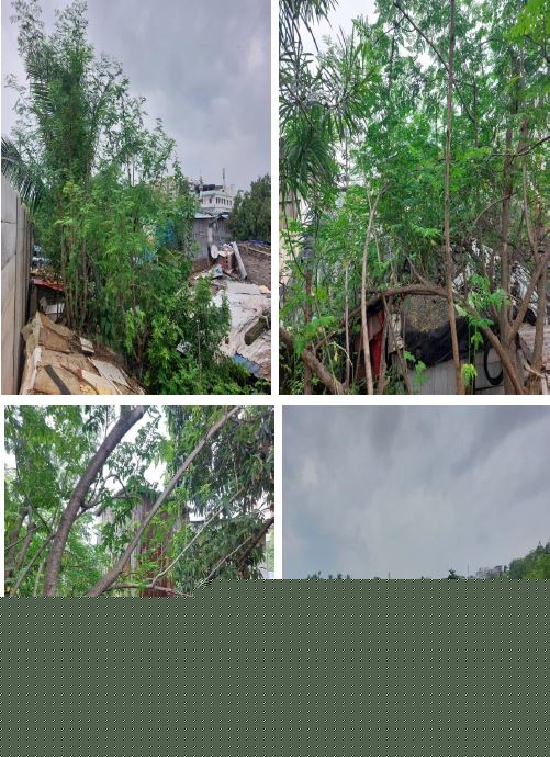 Plot for Sale in Bhubaneswar
