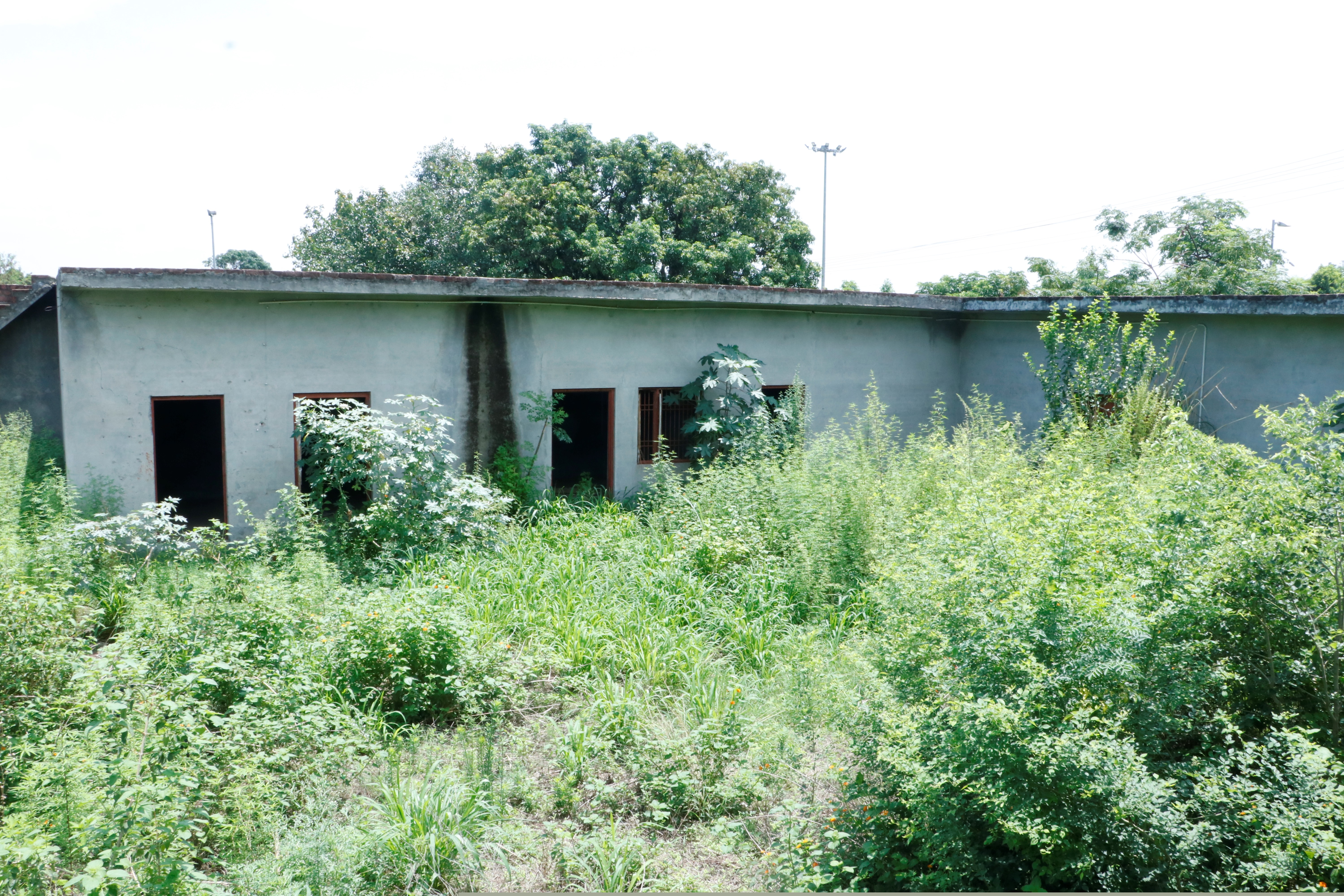 Plot for Sale in Santokhgarh image 2 of 6 in Santokhgarh, Una | Central Bank of India auction property