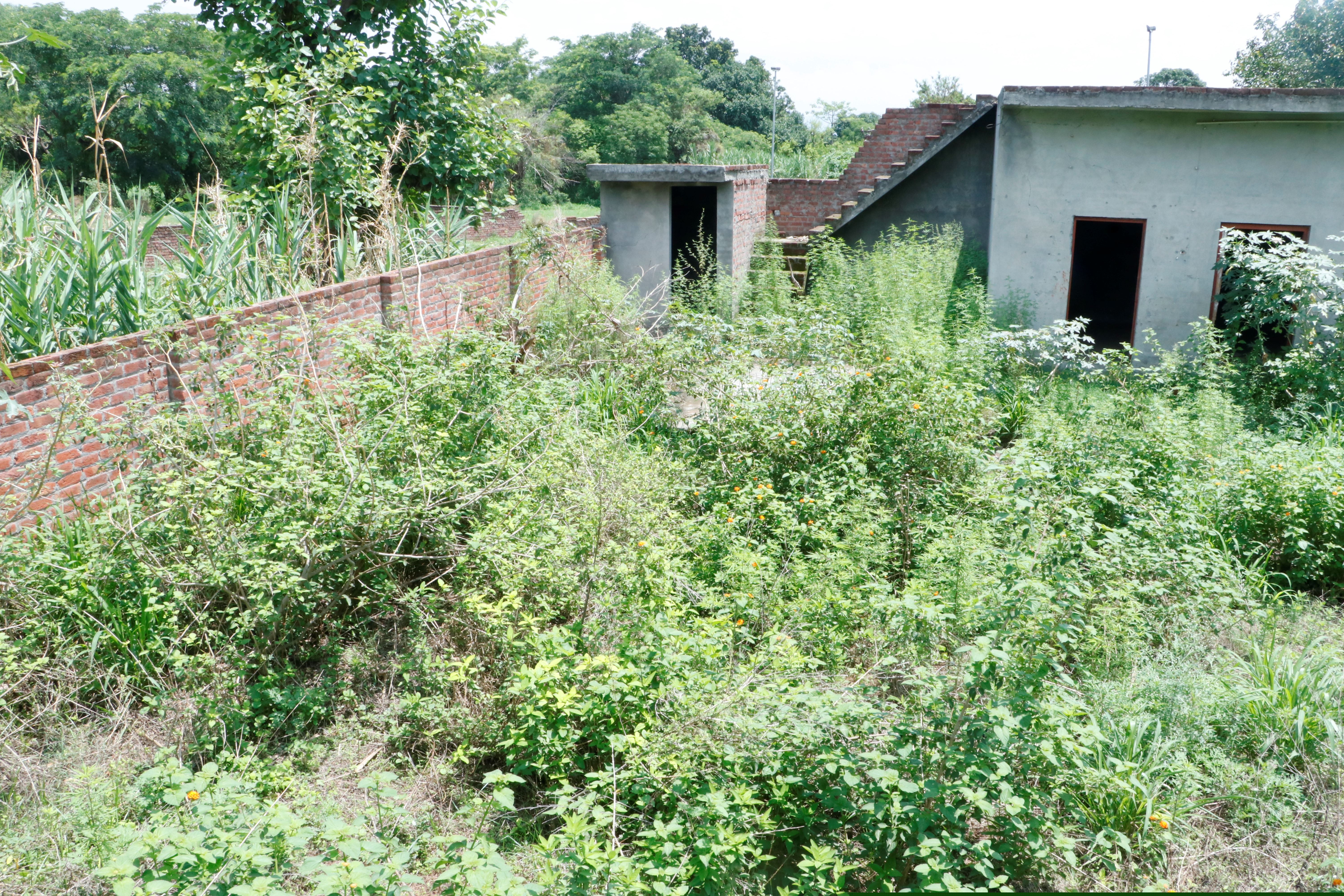 Plot for Sale in Santokhgarh image 3 of 6 in Santokhgarh, Una | Central Bank of India auction property