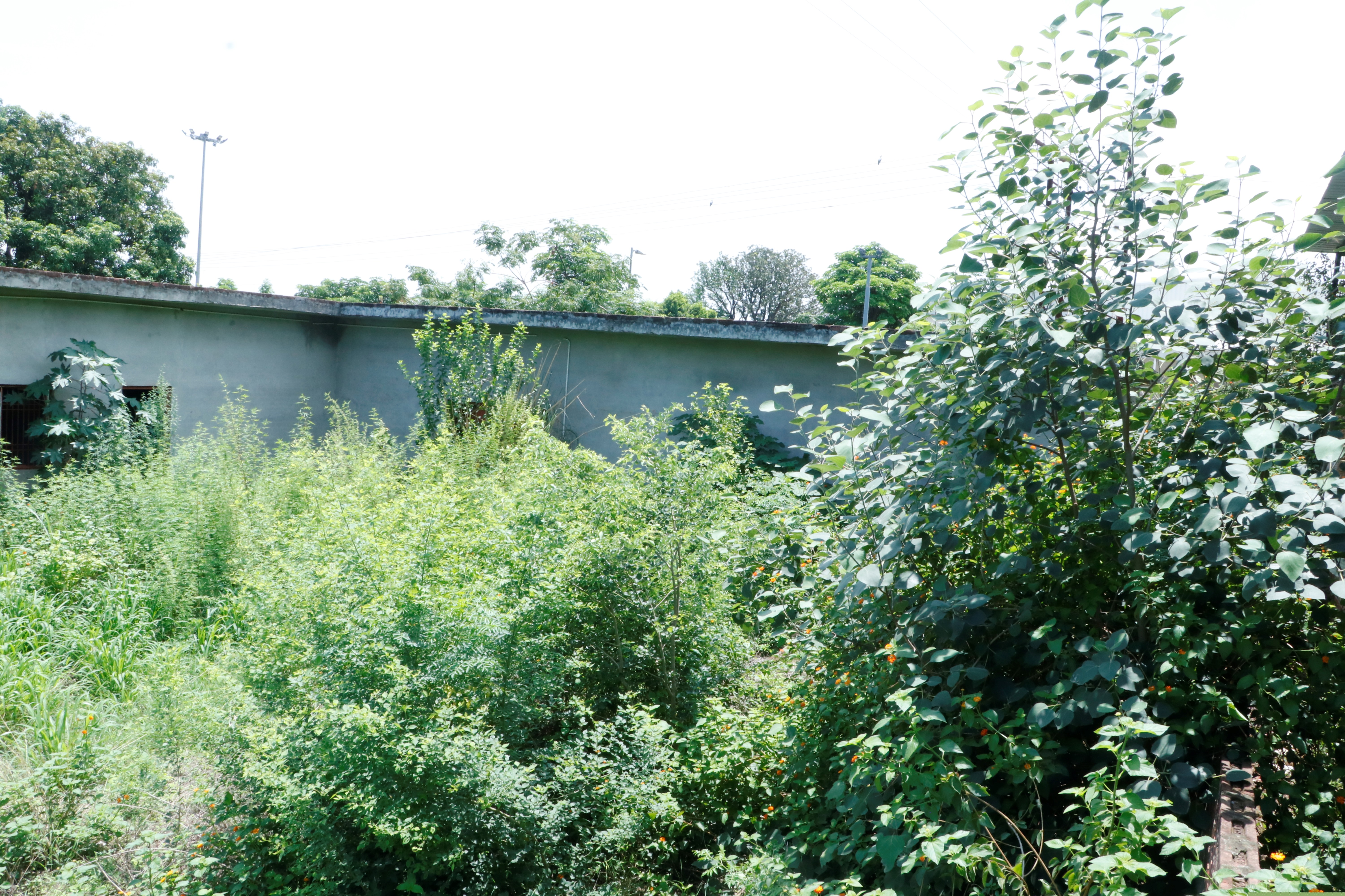 Plot for Sale in Santokhgarh image 4 of 6 in Santokhgarh, Una | Central Bank of India auction property