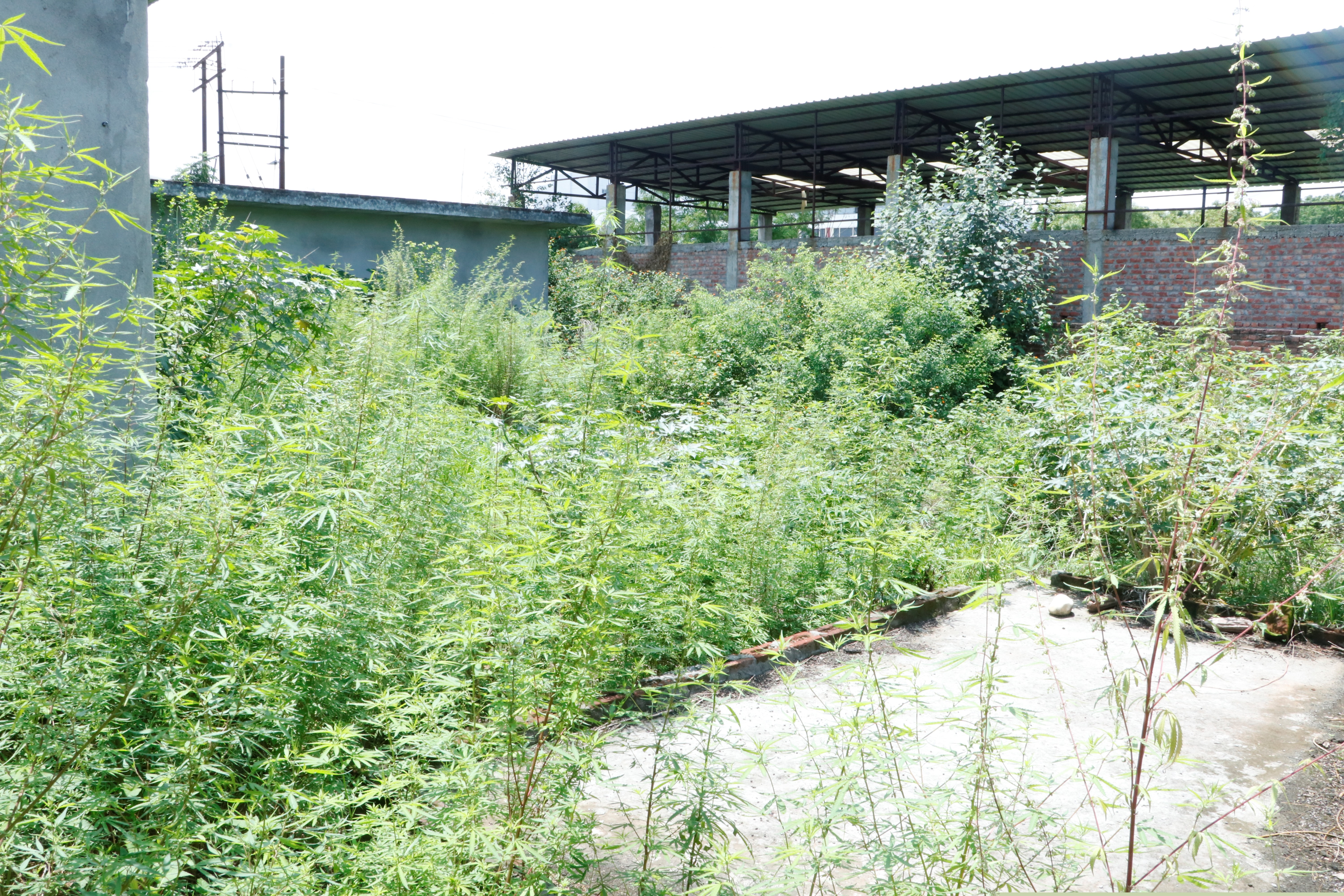 Plot for Sale in Santokhgarh image 5 of 6 in Santokhgarh, Una | Central Bank of India auction property