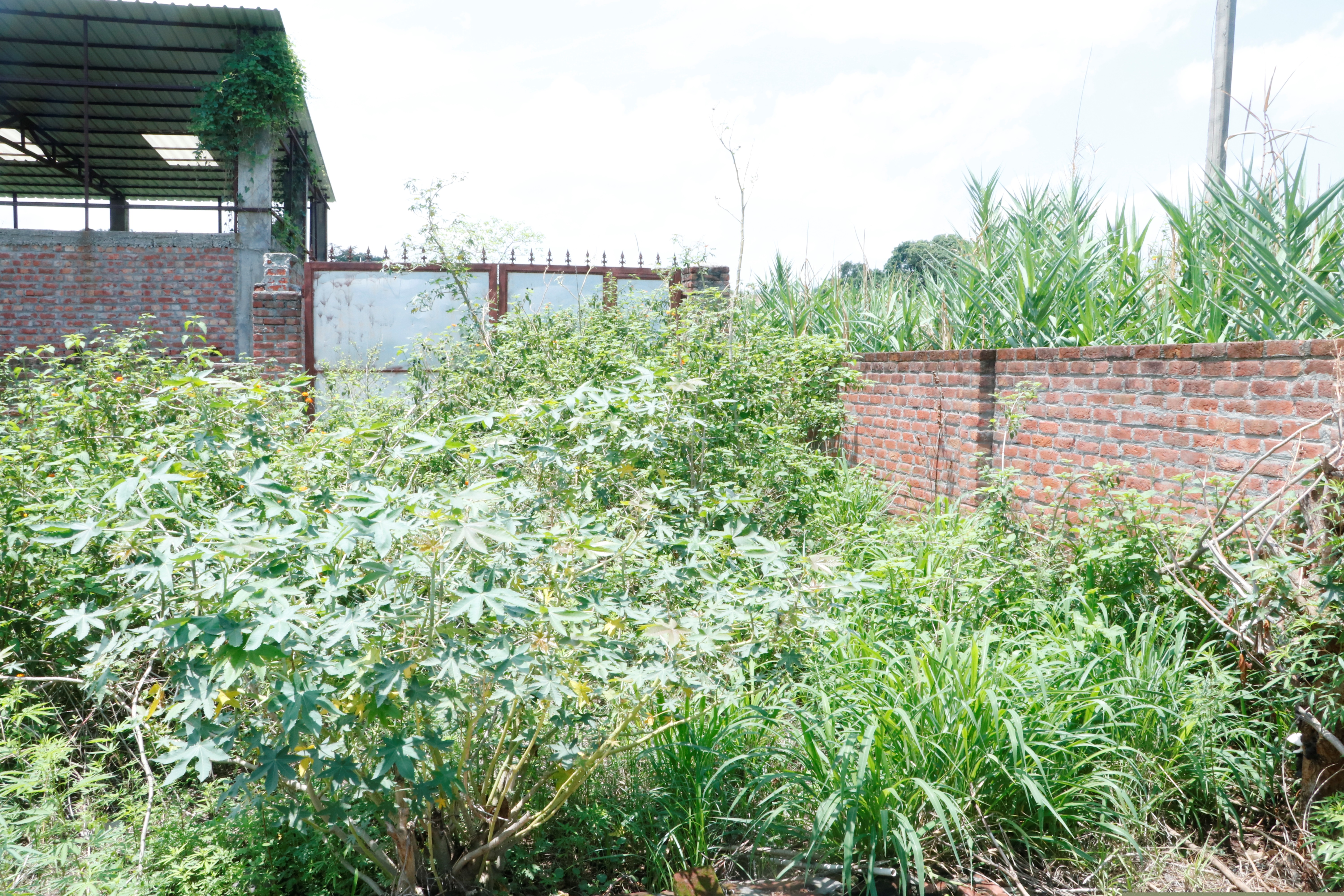 Plot for Sale in Santokhgarh image 6 of 6 in Santokhgarh, Una | Central Bank of India auction property