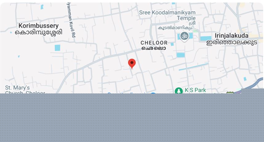 Plot for Sale in Pappinivattom
