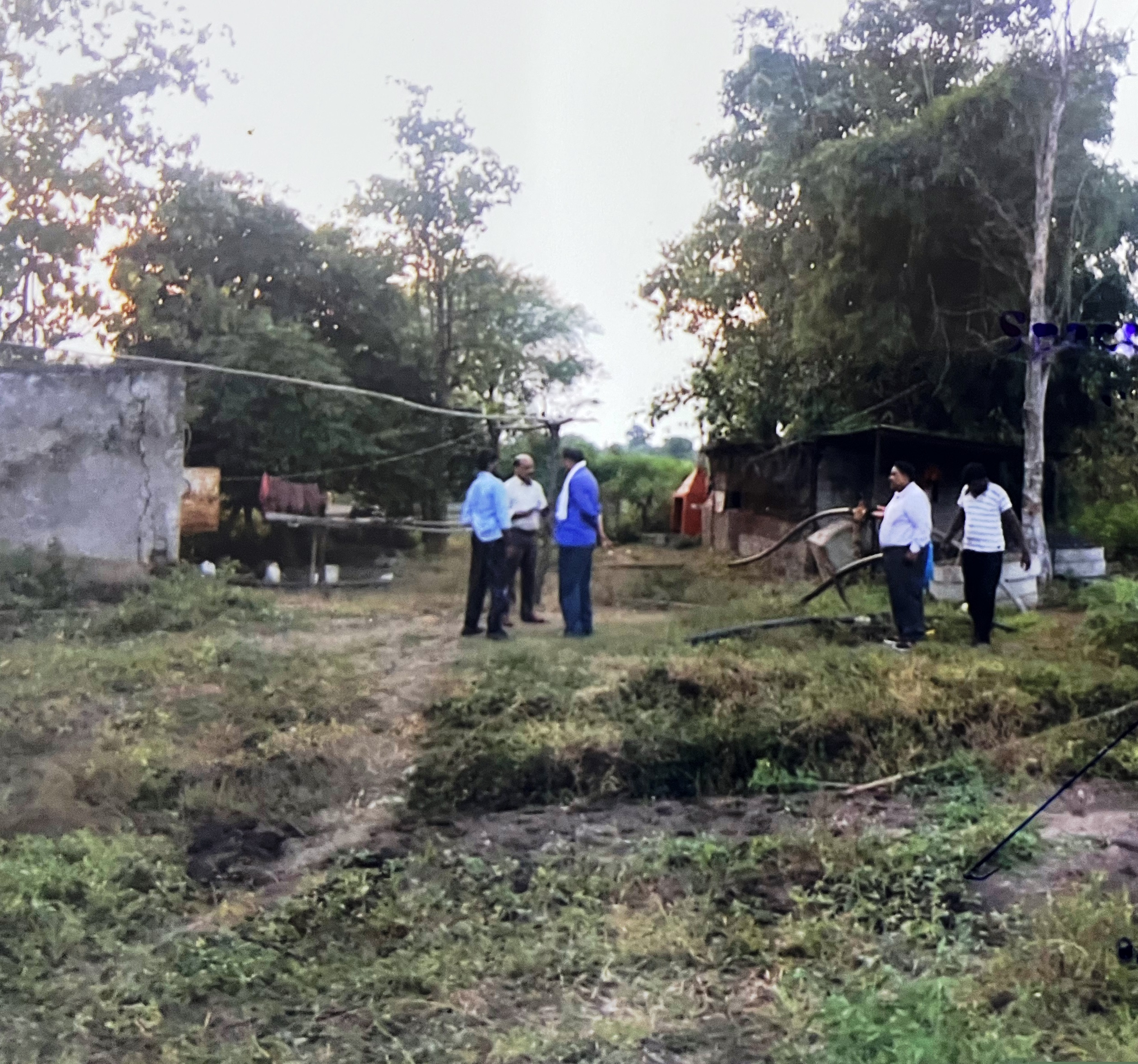 Plot for Sale in Maregaon