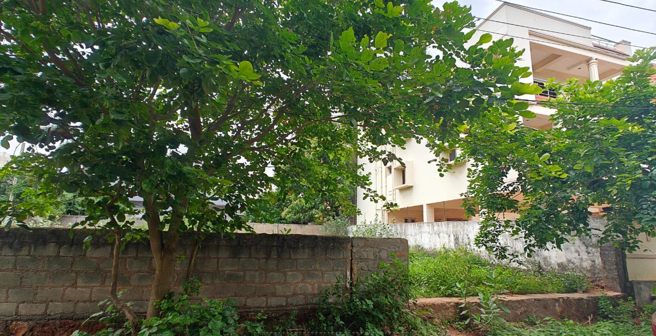 Plot for Sale in Kakinada