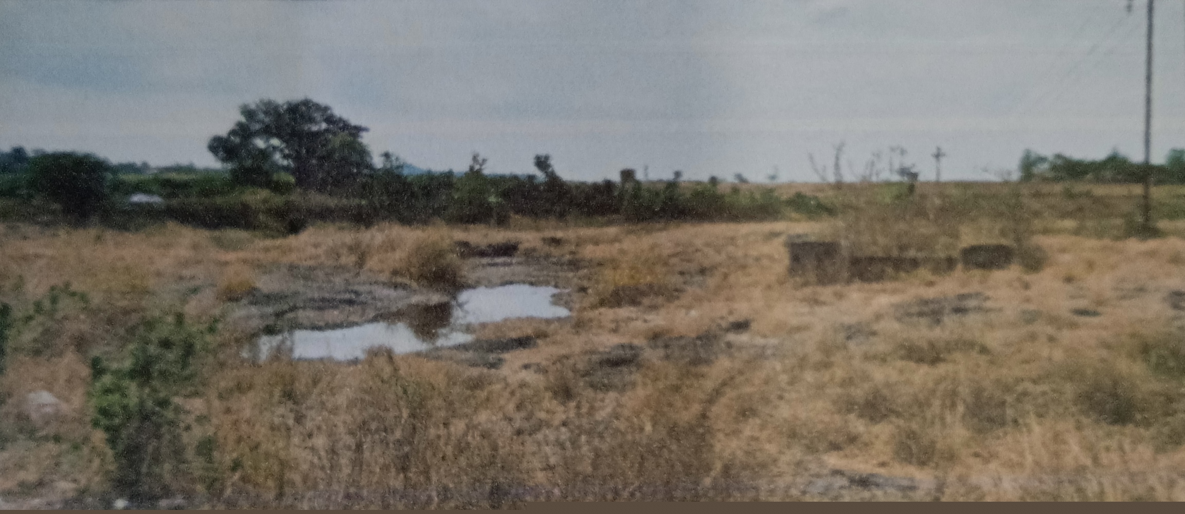 Plot for Sale in Asangaon image 2 of 2 in Asangaon, Thane | Indian Bank auction property