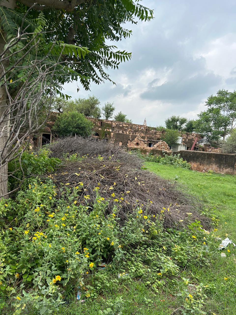 Plot for Sale in Khanpur, Singhana
