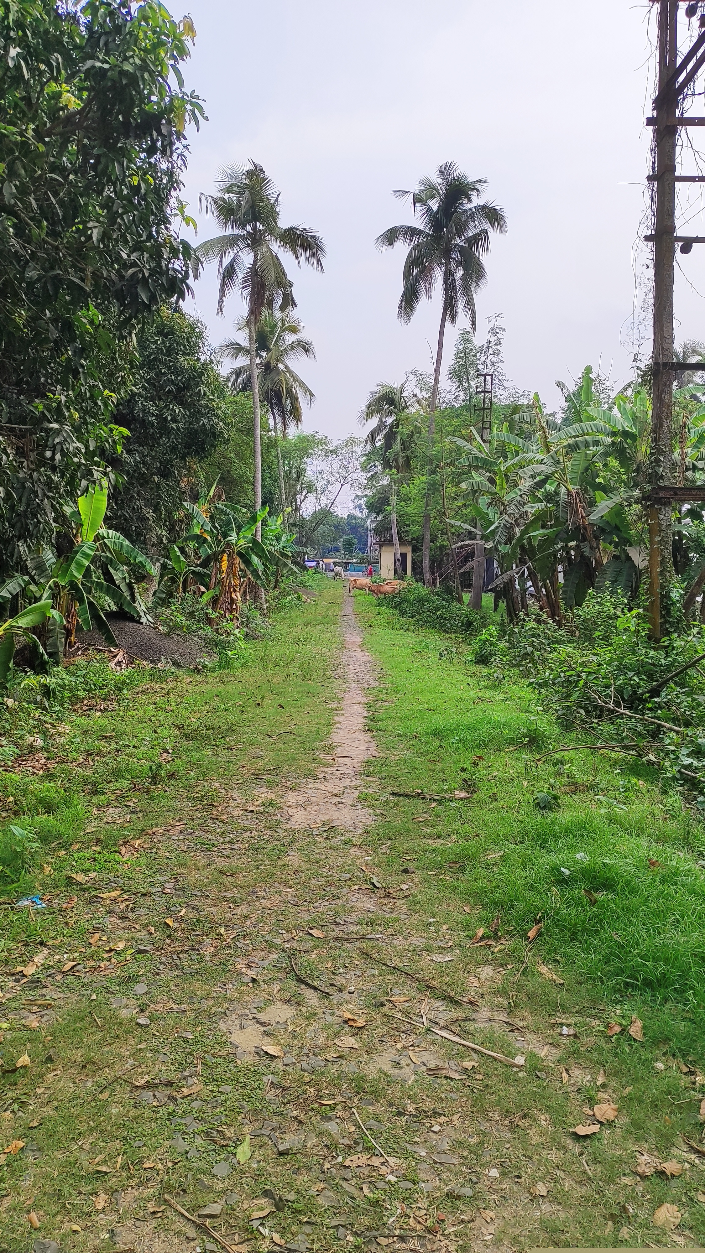 Plot for Sale in HABRA, Habra