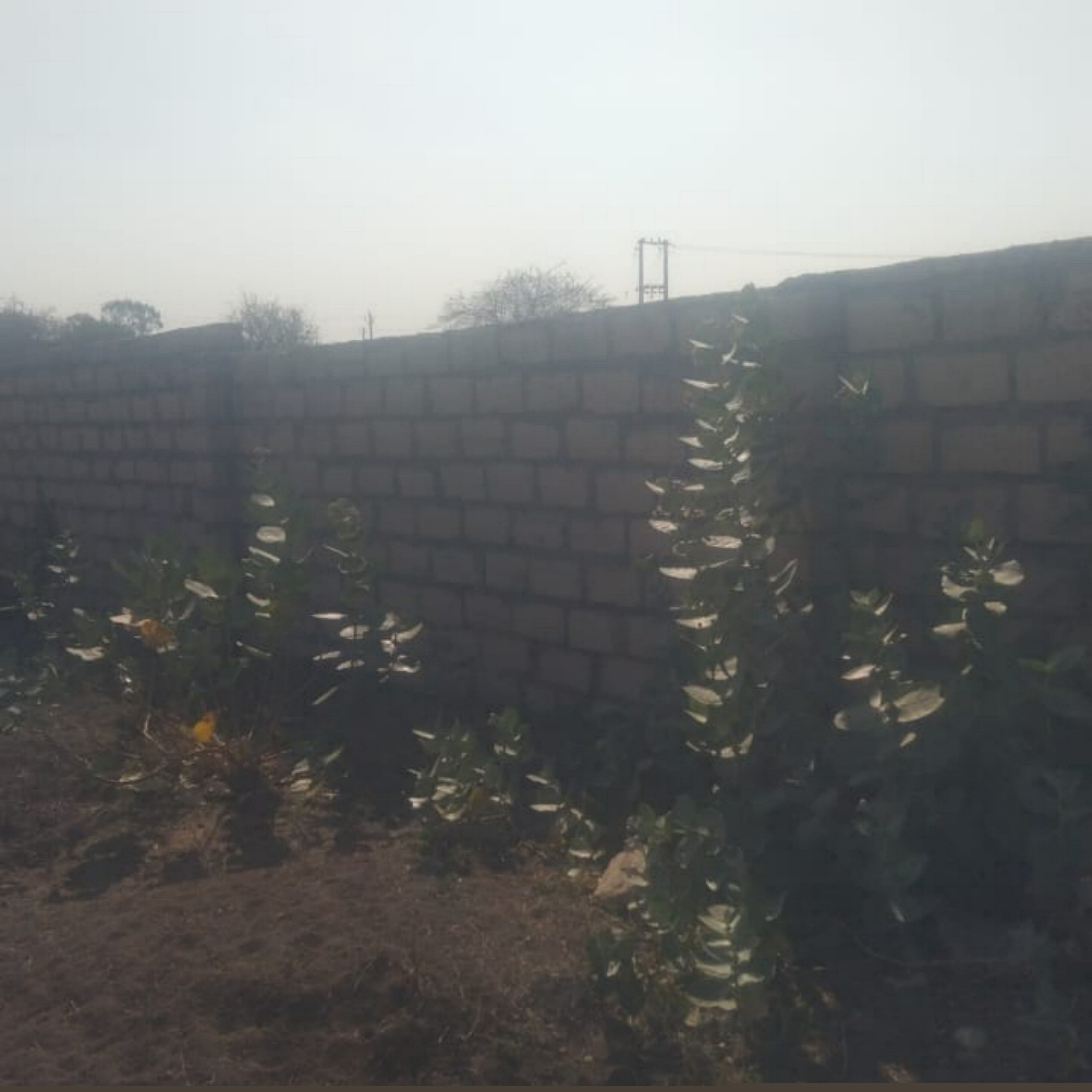 Industrial Plot for Sale in JAMNAGAR, GSFC Reliance Complex image 2 of 2 in GSFC Reliance Complex, Jamnagar | Punjab National Bank auction property