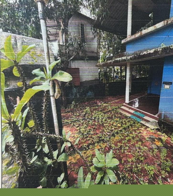 Individual House for Sale in Palakkad image 3 of 3 in Palakkad, Palakkad | Indian Bank auction property
