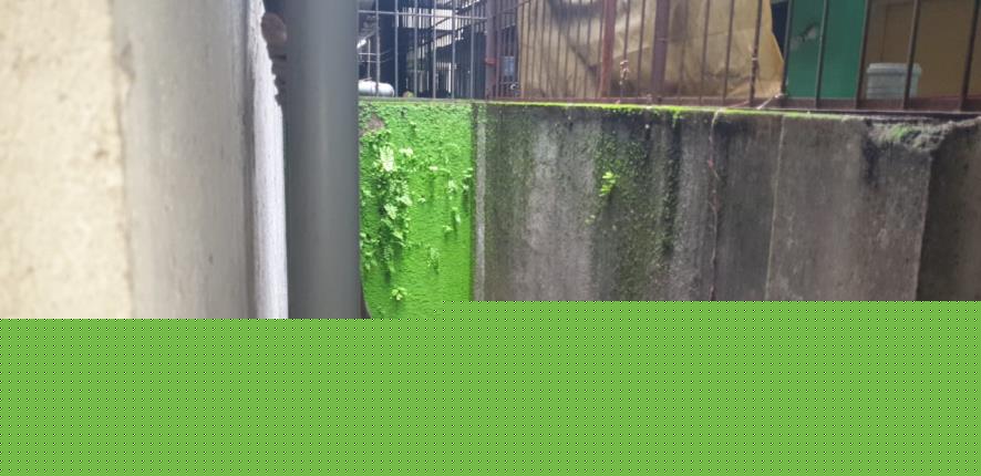 4 BHK Individual House for Sale in Chouhan Green Valley Phase III Junwani, Junwani Bhilai, Bhilai image 11 of 12 in Bhilai, Durg | State Bank of India auction property