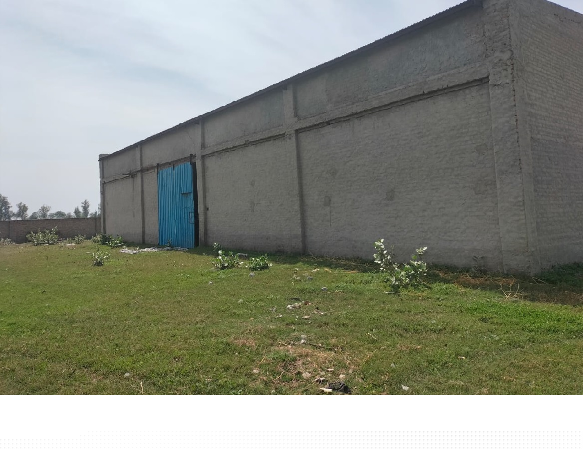 Industrial Plot for Sale in GURUHARSAHAI, Guru Har Sahai