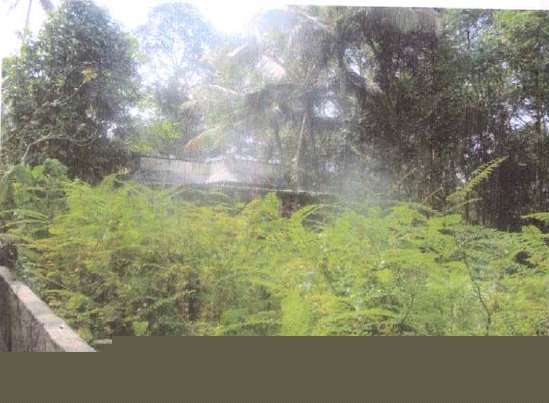 Individual House for Sale in Near NSS School Karukachal, Thrikkodithanam