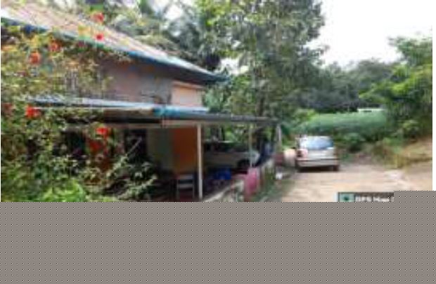 Individual House for Sale in Thodupuzha image 2 of 2 in Thodupuzha, Idukki | Canara Bank auction property