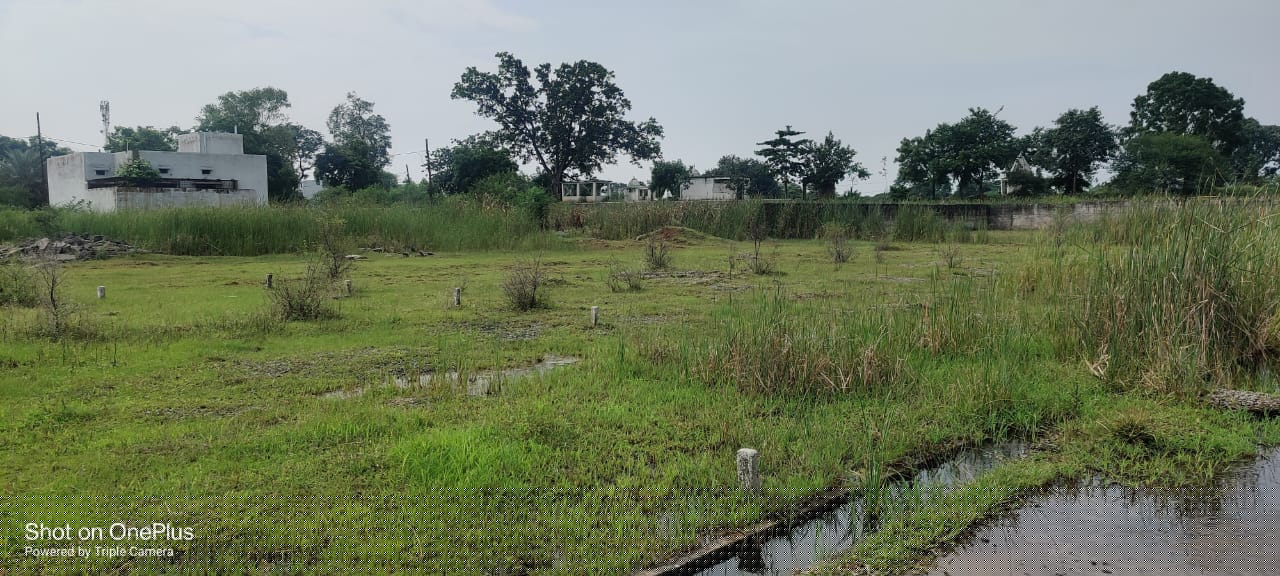 Plot for Sale in Sakri, Block TakhatPur, Dist- Bilaspur Chhattisgarh, Takhatpur
