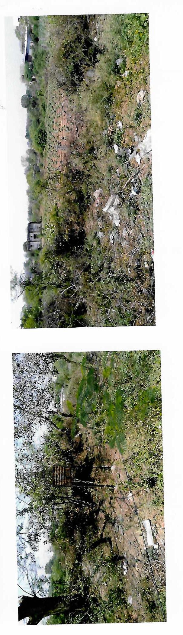 Plot for Sale in Burhanpur image 2 of 2 in Burhanpur, Burhanpur | Punjab National Bank auction property