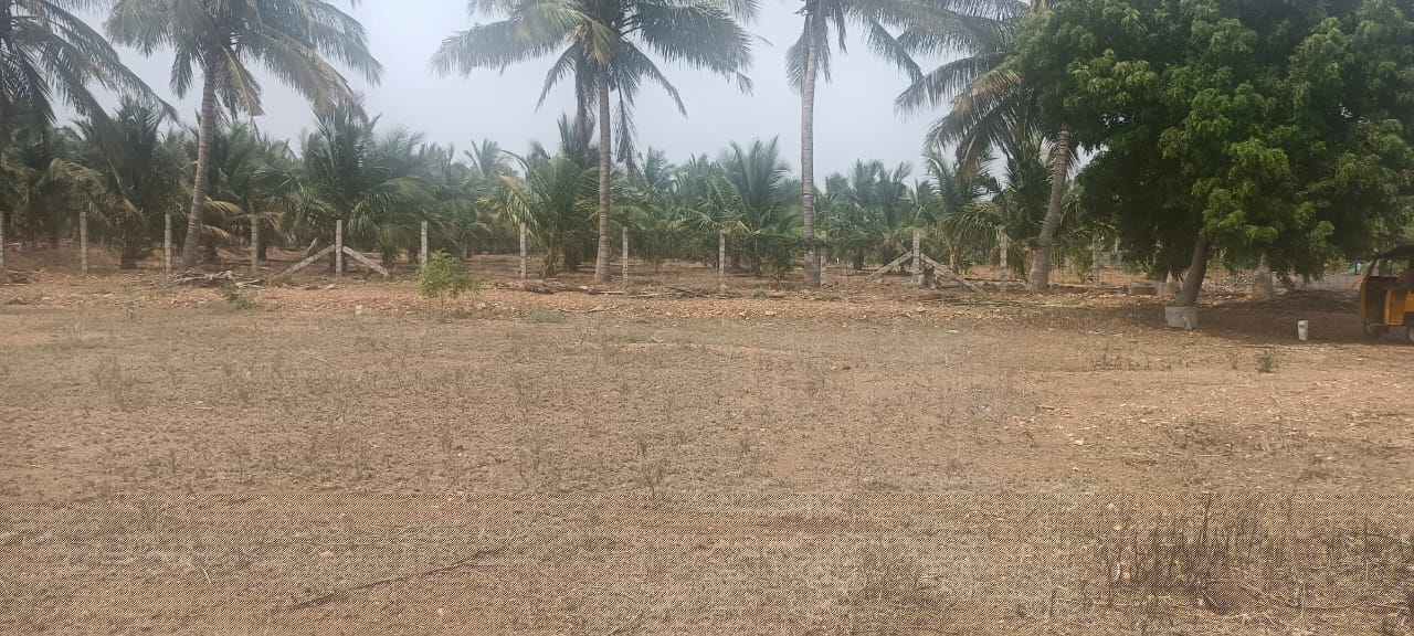 Plot for Sale in K Madhapur