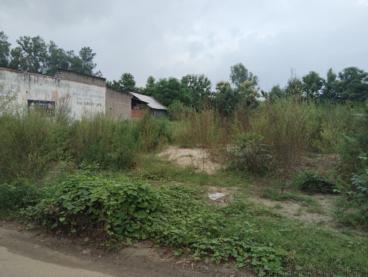 Shops for Sale in Hoshiarpur image 8 of 10 in Hoshiarpur, Hoshiarpur | Punjab National Bank auction property