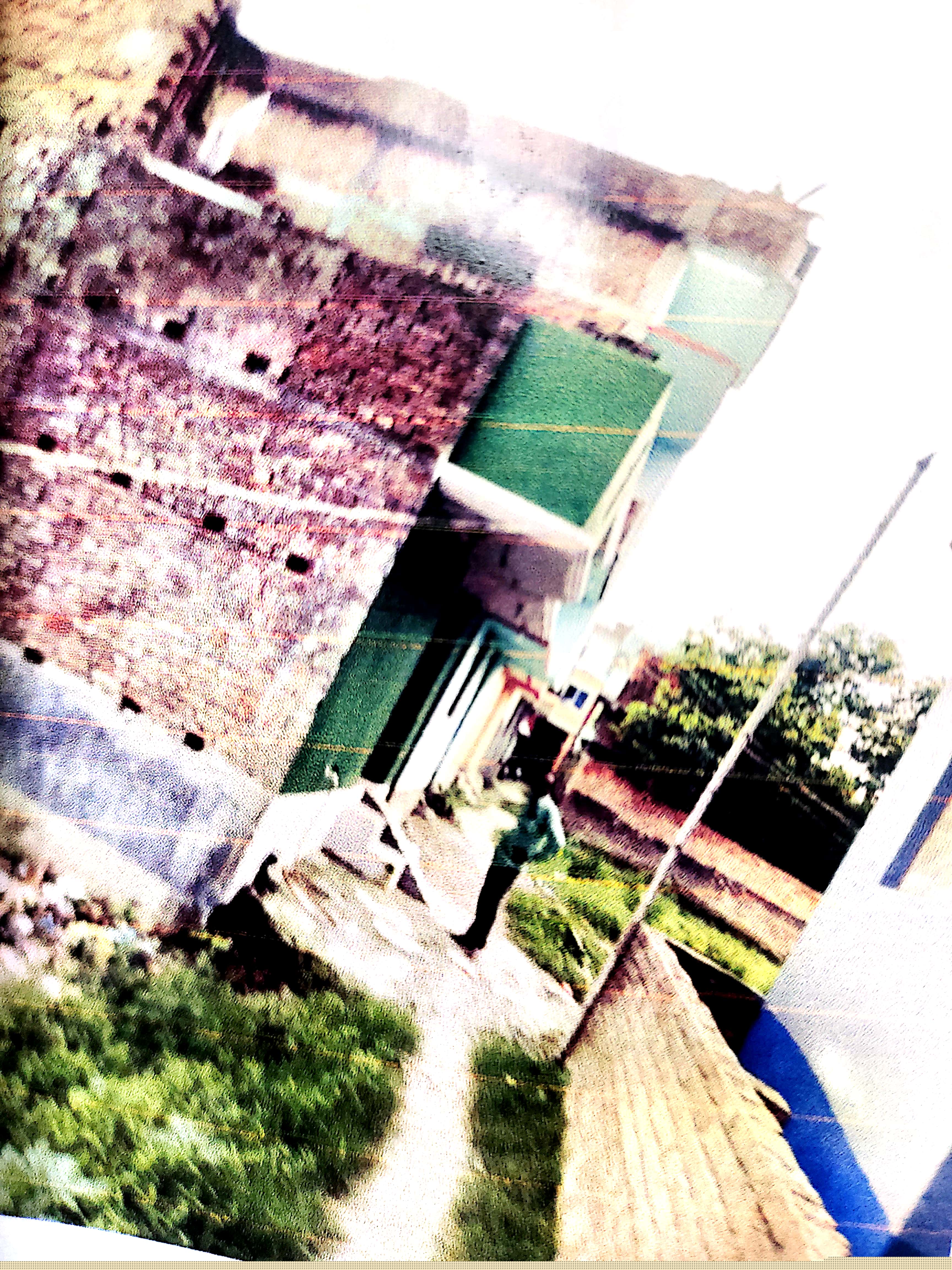 Individual House for Sale in Bettiah image 3 of 5 in Bettiah, Pashchim Champaran | Punjab National Bank auction property