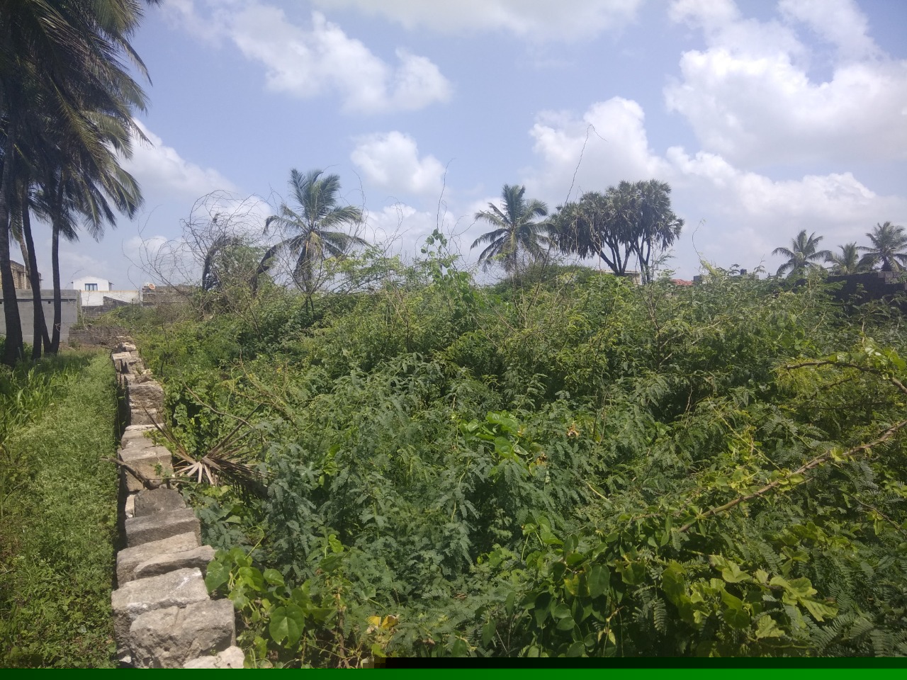 Punjab National Bank Auctions for Residential property in Gir Somnath, Gujarat