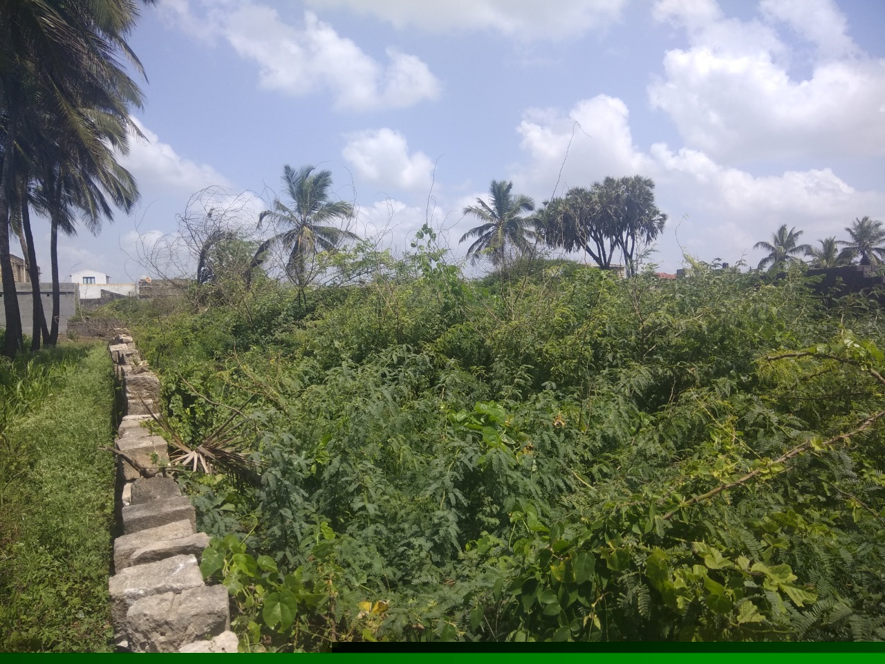 Punjab National Bank Auctions for Residential property in Gir Somnath, Gujarat
