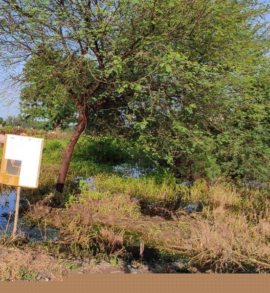 Bank of Maharashtra Auctions for Residential property in Amravati, Maharashtra