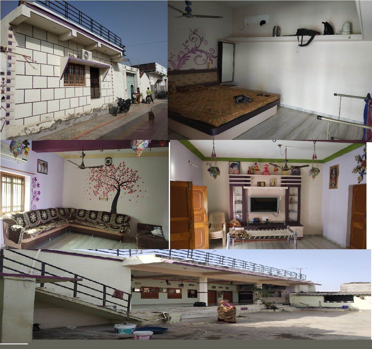Bank of Baroda Auctions for Residential property in Amreli, Gujarat