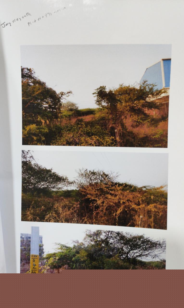 Bank of Baroda Auctions for Residential property in Amreli, Gujarat