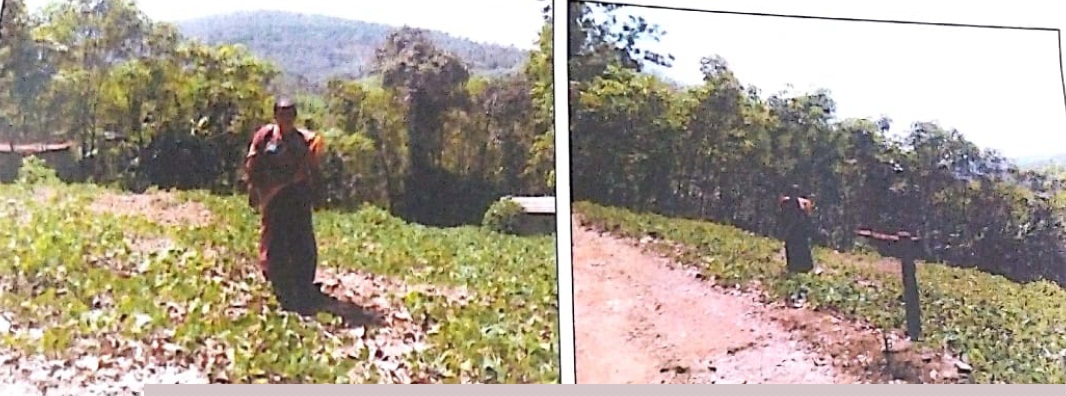 Bank of Baroda Auctions for Residential property in Kottayam, Kerala