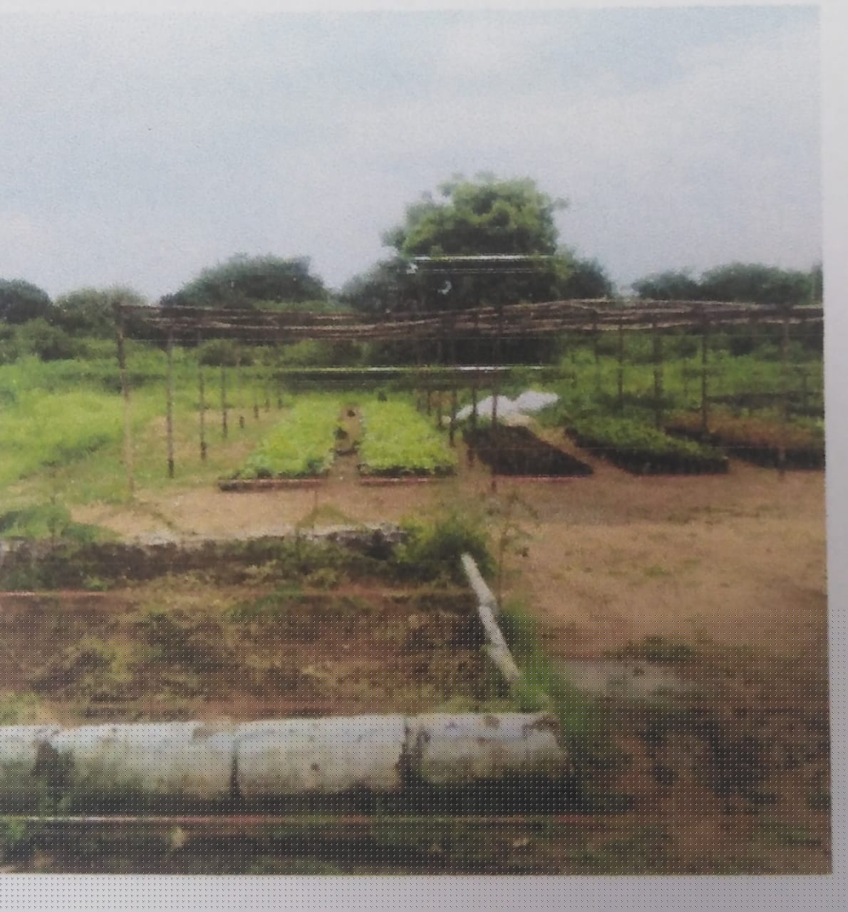 Bank of Baroda Auctions for Residential property in Medchal-Malkajgiri, Telangana