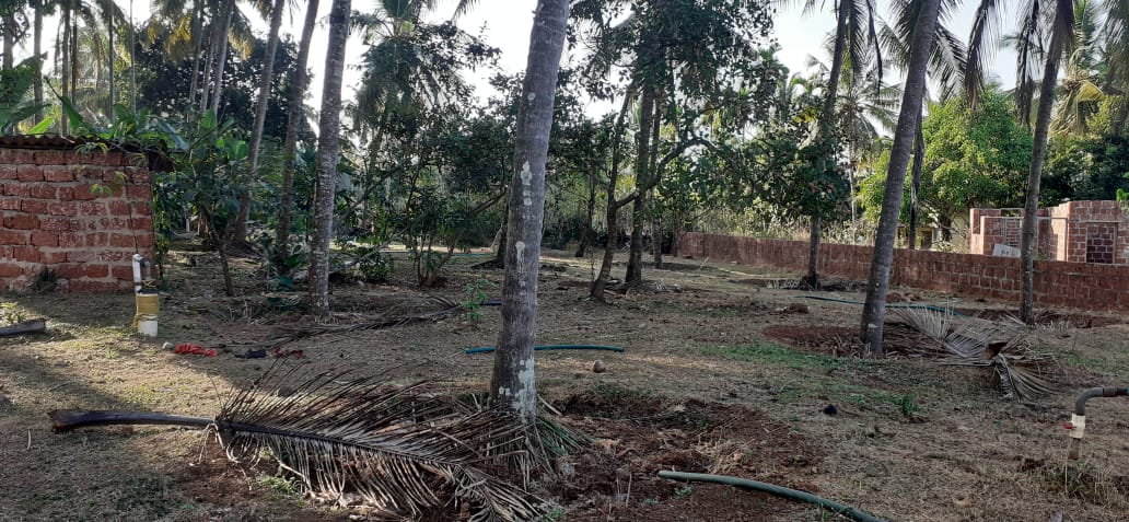 Bank of Baroda Auctions for Residential property in Kasaragod, Kerala