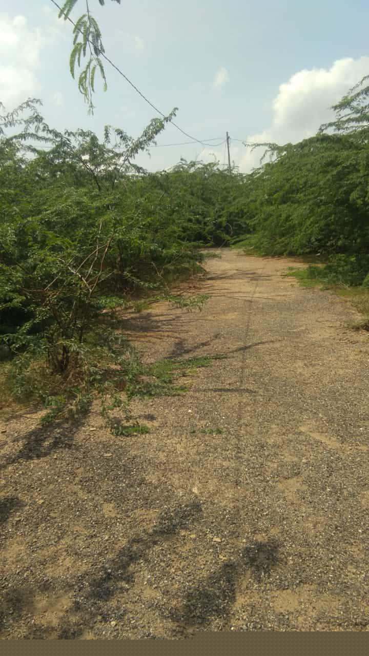 Bank of Baroda Auctions for Residential property in Ajmer, Rajasthan image 3 of 3 in ARADHANA NAGAR AJMER, Ajmer | Bank of Baroda auction property