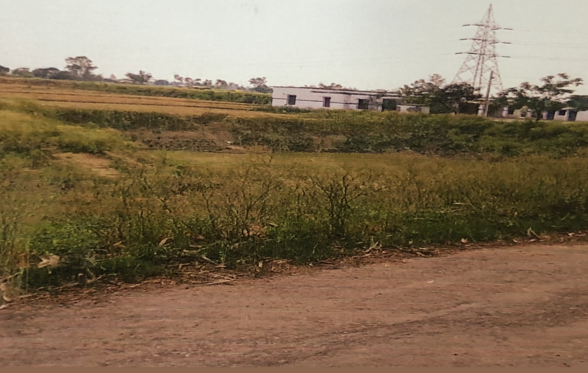 Bank of Baroda Auctions for Residential property in Sonbhadra, Uttar Pradesh