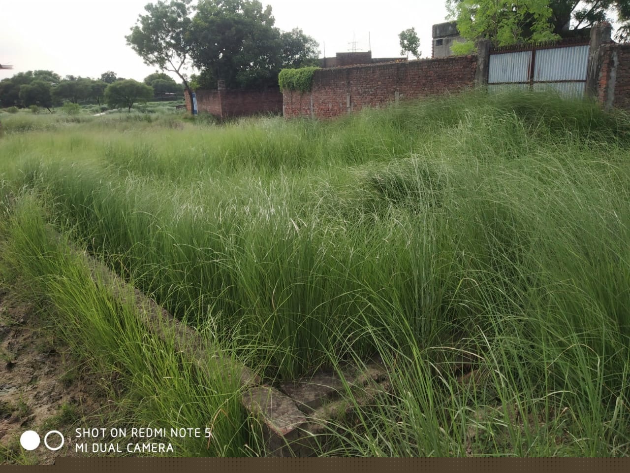Bank of Baroda Auctions for Residential property in Varanasi, Uttar Pradesh