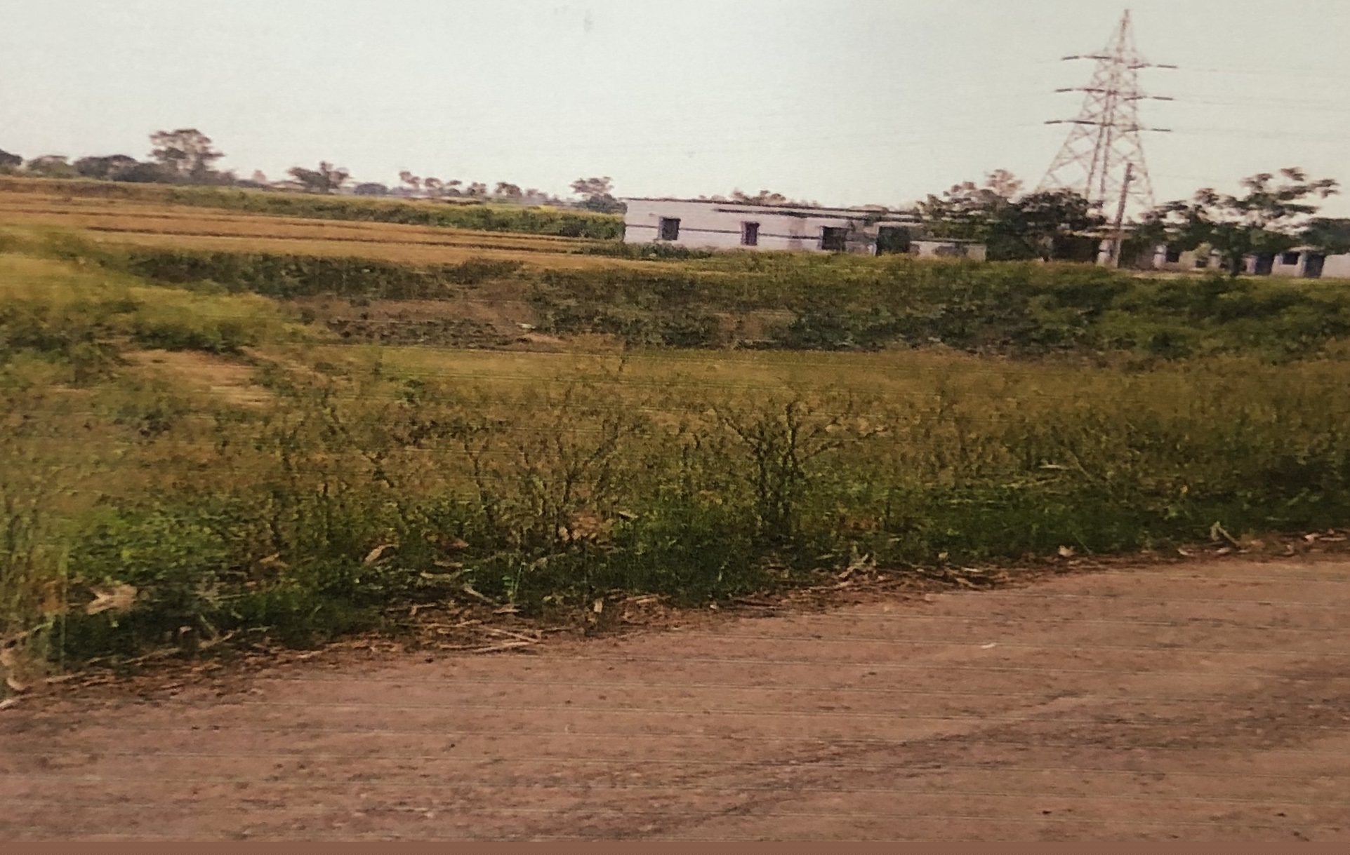 Bank of Baroda Auctions for Residential property in Sonbhadra, Uttar Pradesh