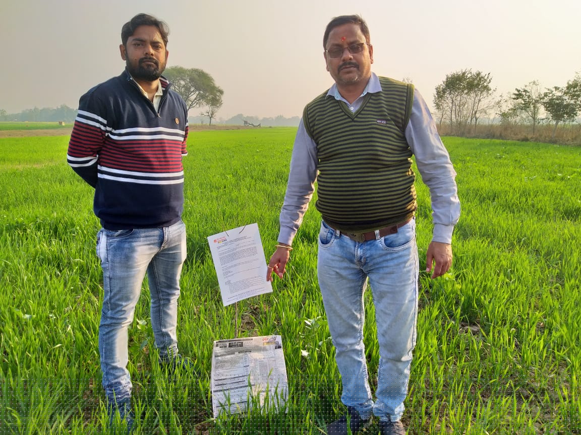 Bank of Baroda Auctions for Residential property in Ayodhya, Uttar Pradesh image 3 of 3 in JALALPUR BHAGGU, Ayodhya | Bank of Baroda auction property