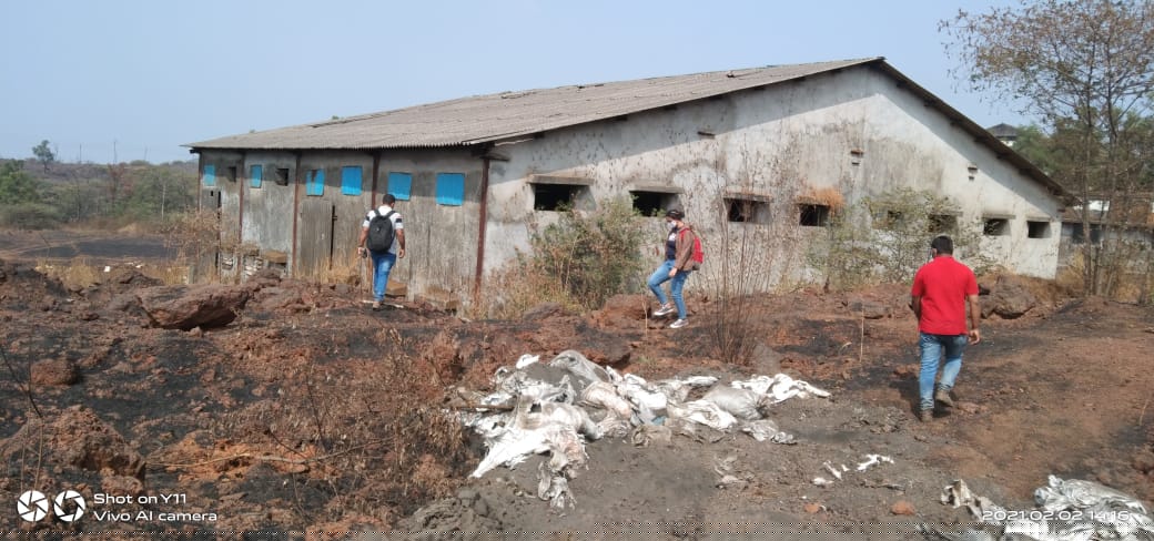 Bank of Baroda Auctions for Industrial property in Ratnagiri, Maharashtra
