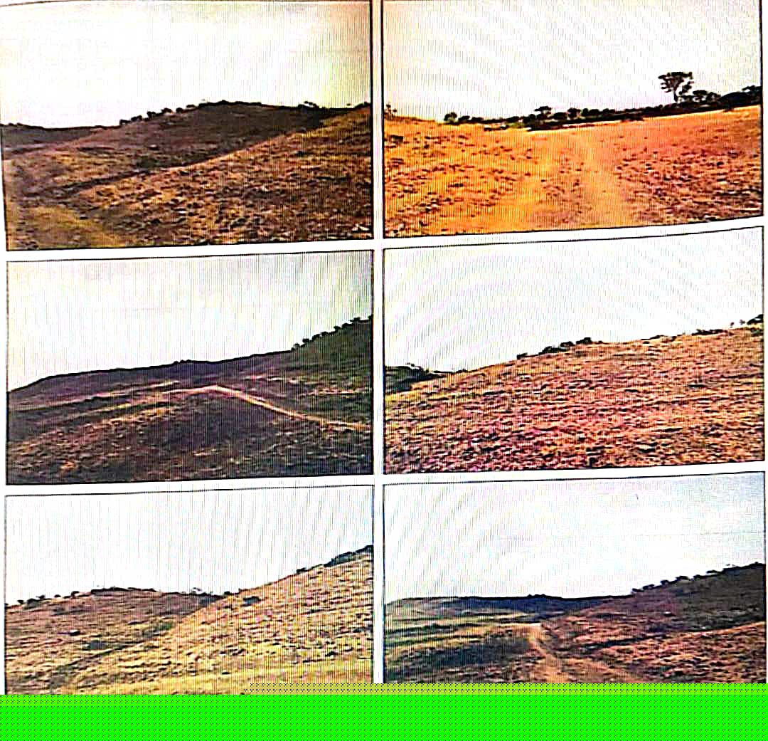 Bank of Baroda Auctions for Commercial property in Barwani, Madhya Pradesh