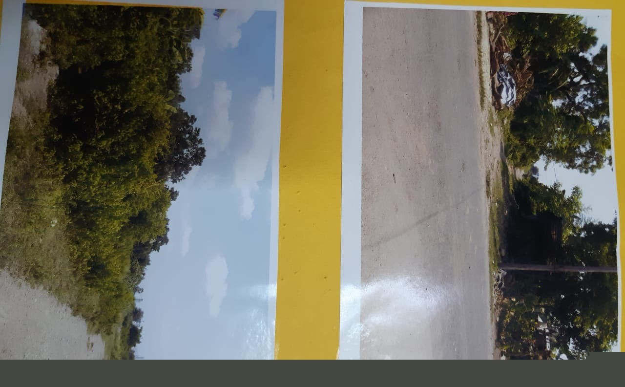 Bank of Baroda Auctions for Industrial property in Nadia, West Bengal