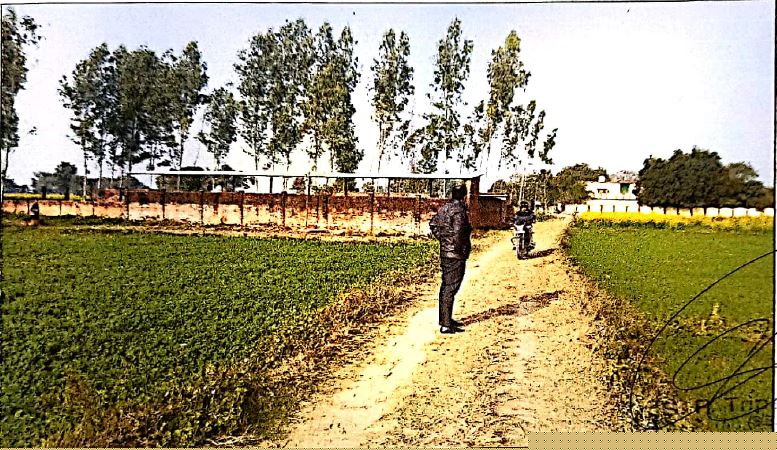 Bank of Baroda Auctions for Others property in Sultanpur, Uttar Pradesh
