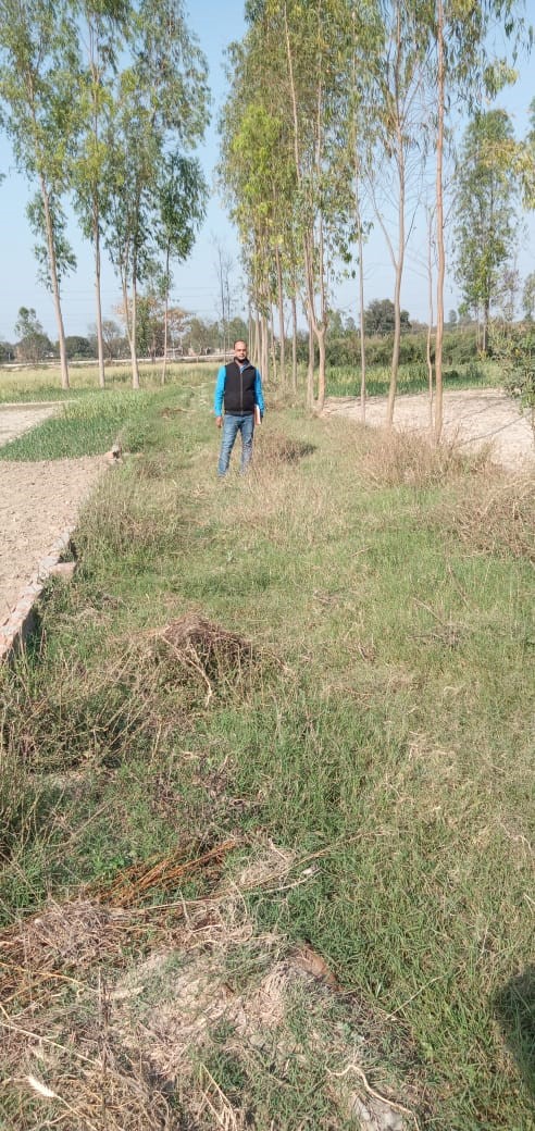Bank of Baroda Auctions for Residential property in Sultanpur, Uttar Pradesh
