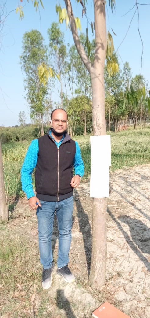 Bank of Baroda Auctions for Residential property in Sultanpur, Uttar Pradesh image 2 of 2 in LOHARAMAU, Sultanpur | Bank of Baroda auction property