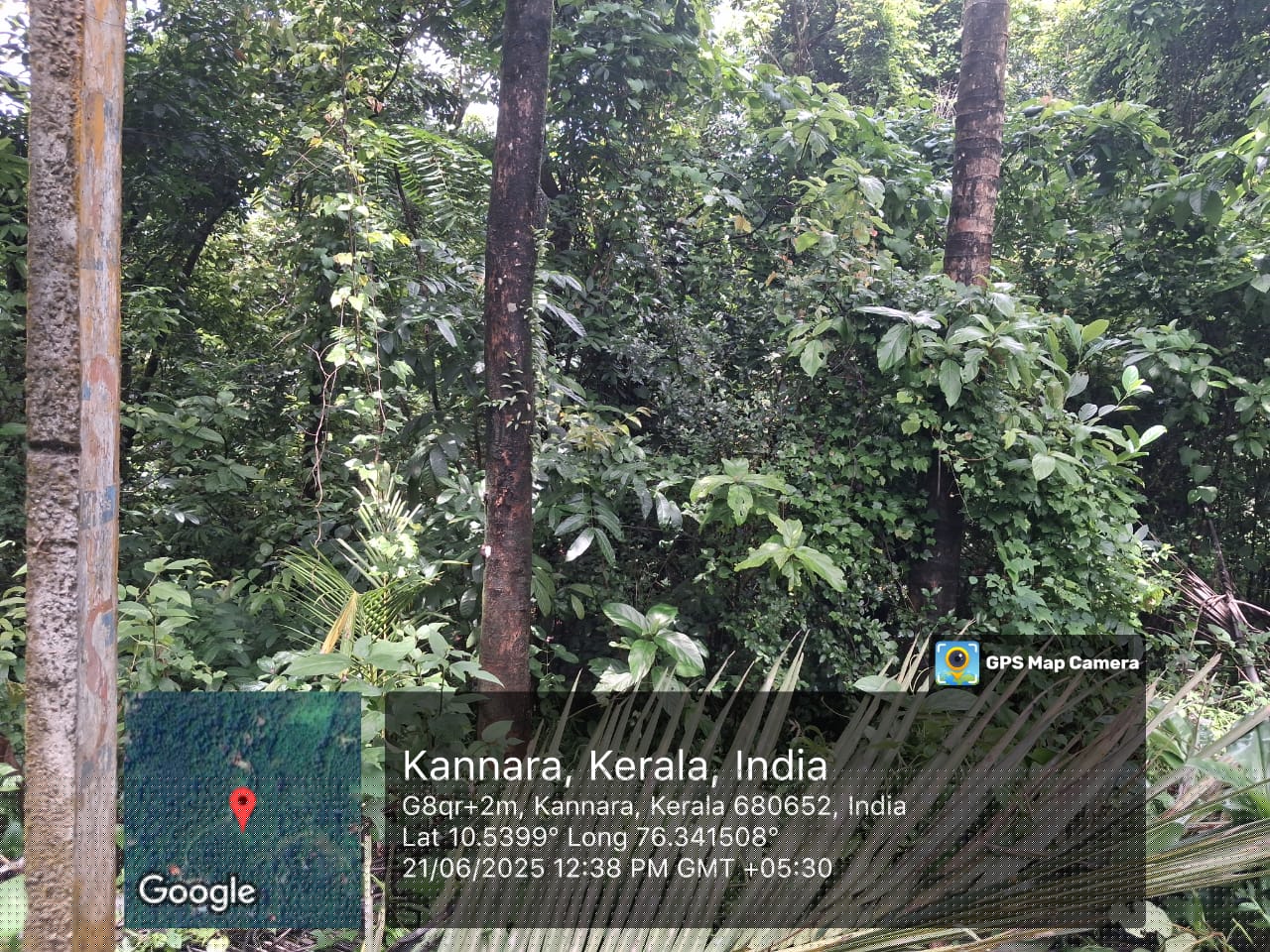 Plot for Sale in AYYANTHOLE, Thrissur