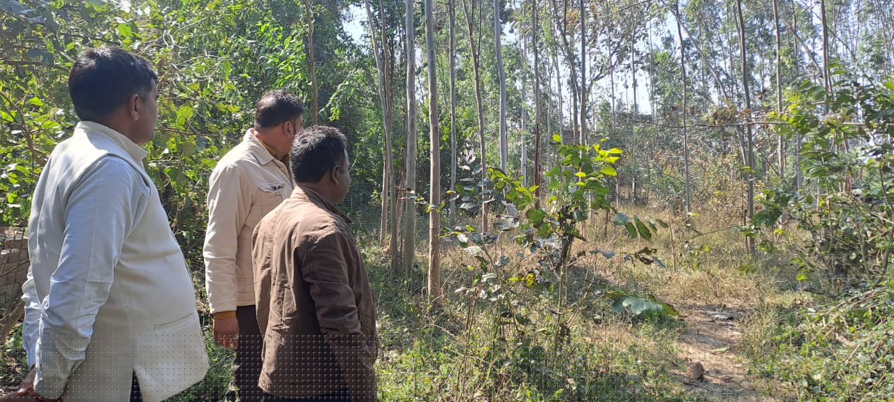 Plot for Sale in Subeha