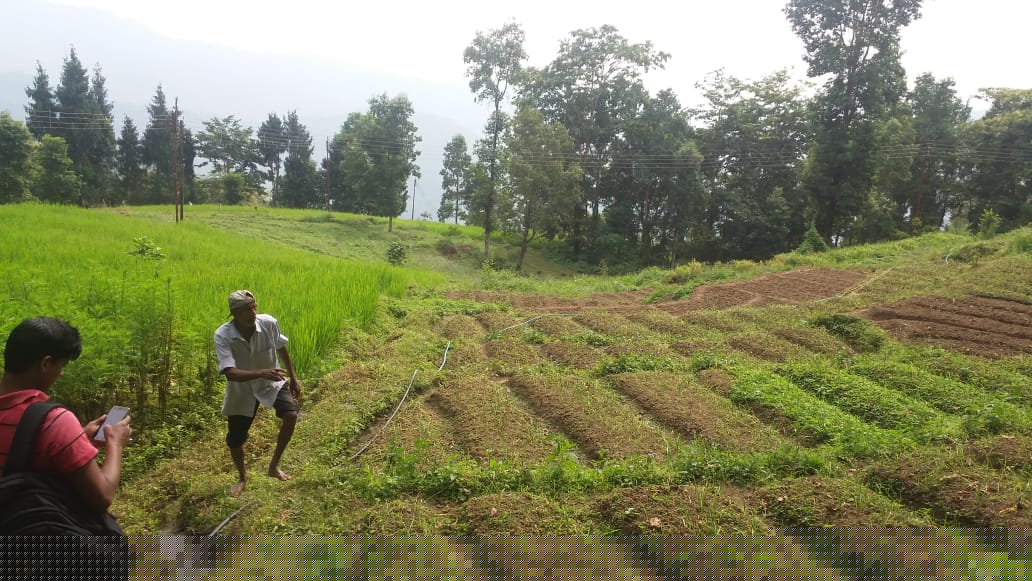 Union Bank of India Auctions for Agricultural property in Jalpaiguri, West Bengal