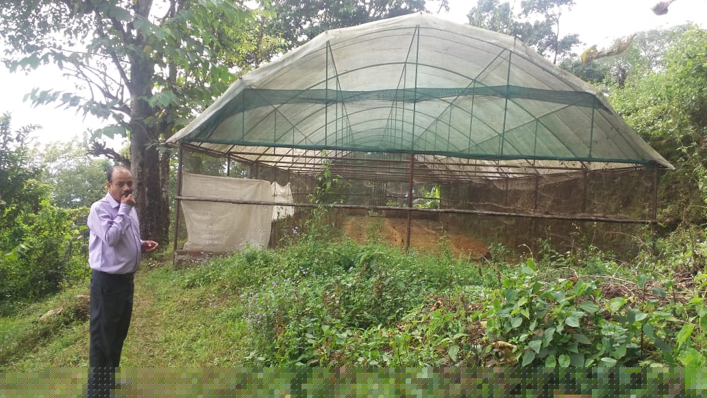 Union Bank of India Auctions for Agricultural property in Jalpaiguri, West Bengal image 2 of 3 in KALIMPONG, Jalpaiguri | Union Bank of India auction property