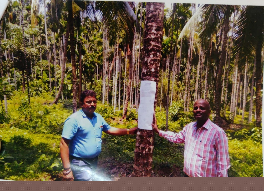 Union Bank of India Auctions for Residential property in Kasaragod, Kerala