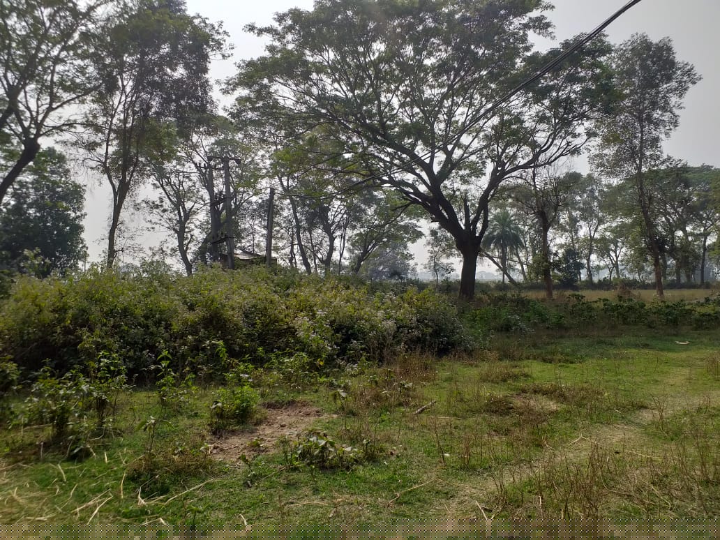 Union Bank of India Auctions for Residential property in Ganjam, Odisha